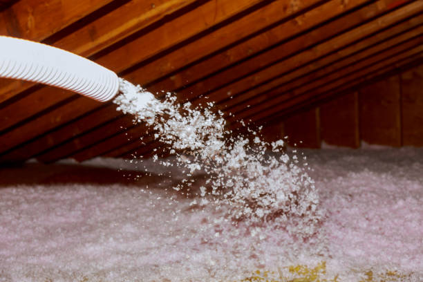 Best Commercial Insulation in Shenandoah, PA